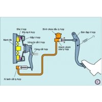 Hệ thống trợ lực chân côn, hỗ trợ vào số tự động cho xe số sàn