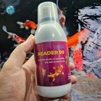 HEADER 99 Xử lý triệt để nấm, ký sinh trùng, nấm thủy mi trên cá KOI không tái phát