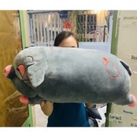 Heo Bông Mũm Mỉm Mắt Hip Phê Cần