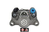 Heo Brembo 2 Piston Logo Lớn