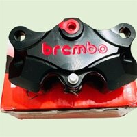 Heo brembo đen CNC + Pát raider 295