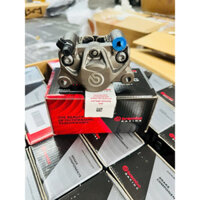 Heo Brembo Logo Lớn Xám Real