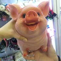 Heo đất ( hình thật )
