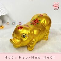 Heo đất Ngọc Trinh, Lợn đất Ngọc Trinh dễ thương, Heo Đất Mely, Ống Tiết Kiệm Heo Đất Ngọc Trinh.