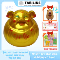 Heo đất ống tiết kiệm tiền lỗ ngang heo bí size to tài lộc vàng đồng LD78 - TABILINE