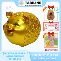 Heo đất ống tiết kiệm tiền lỗ ngang híp đồng tiền size to vàng đồng vip LD88 - TABILINE