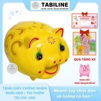 Heo đất ống tiết kiệm tiền lỗ ngang size đại to siêu cute đáng yêu đẹp LD05 - TABILINE