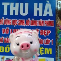 Heo đất xinh xắn
