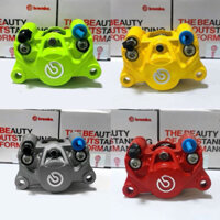 Heo dầu 2 pis đối xứng độ phanh đĩa xe điện