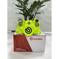 Heo dầu 2 piston đối xứng trước sau