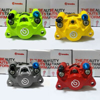 Heo dầu 2pis đối xứng trước sau gắn phanh đĩa xe điện