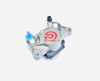 heo dầu brembo