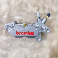 Heo dầu thắng đĩa Rembo 4pis đối xứng_lắp trước sau cho mọi dòng xe_heo màu xám ty vàng chuẩn 50a, kèm sãn bố thắng