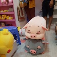 Heo nhồi bông 180k
