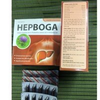 Hep Boga bổ gan mát gan tăng cường chức năng gan, hạ men gan 60