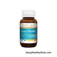 Herb Of Gold Gout Relief – Hỗ trợ điều trị gút