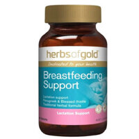 Herbs Of Gold Breastfeeding Support, hỗ trợ kích thích tuyến sữa cho phụ nữ đang cho con bú