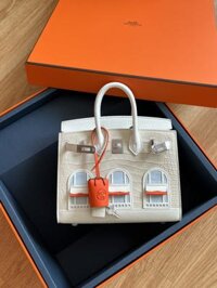 Hermes Birkin Faubourg Handbag American Crocodile Leather Super Quality Hand-Stitched 20cm