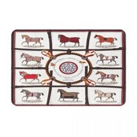 Hermes-paris (2) Thảm trải sàn chống trượt trong phòng tắm Nhà vệ sinh Thảm lót chân Cửa thấm nước Nhanh khô Cửa vào thảm để