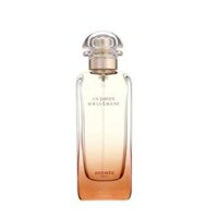 Hermes Paris Un Jardin Sur La Lagune EDT 100ml