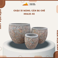 [HHA25-02] Chậu xi măng, cấn đá chẻ dùng để trồng xương rồng, cây cảnh