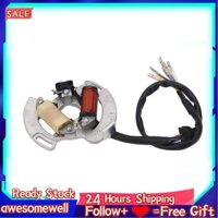 High Output Alternator Generator Stator 5Vm 85560 00 Magneto for YFS200 Blaster