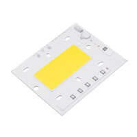 High Powered 50W LED Chip Light Source Anti-thunder AC220V for DIY Spotlight Floodlight