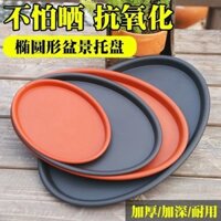Hình Bầu Dục Chậu Hoa Khay Dày Nhựa Tròn Dài Đệm Đáy Đế Gốm Cây Cảnh Hút Nước Khay Thụt