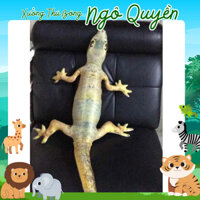 [Hình Thật] Gối Ôm 3d Thằn Lằn Nhồi Bông Khổng Lồ( Thạch Sùng Bông ) Dài 1m3 - Xưởng Thú Bông Ngô Quyền