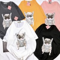 [HÌNH THẬT TỰ CHỤP] - Áo thun tay ngắn Be Yourself unisex size M L - CHÓ BALO