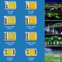 HiQueen 15W/20W/30W/50W LED COB Chip Lamp for Outdoor Lighting 110V