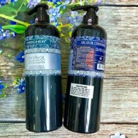 [Hischer-Chính Hãng] Dầu Gội-Xả Phục Hồi Hischer Argan Oil 500-1000ML