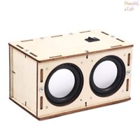 [Hls] Trẻ Em DIY Đồ Chơi Khoa Học Hộp Âm Thanh Sáng Tạo Phát Minh Giáo Dục Khoa Học Thí Nghiệm Bộ Quà Tặng DIY Vật Liệu Lắp Ráp Mới