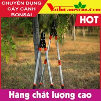 HM012-KCC - Kéo Cắt Cành Lớn Trên Cao Sunsong