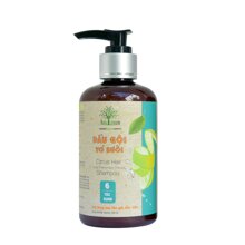 Dầu gội tinh dầu vỏ bưởi Ame Green 250ml