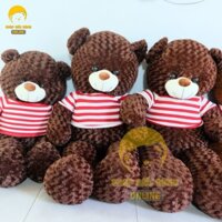 (HN) Gấu Teddy cao cấp 1m mặc áo len