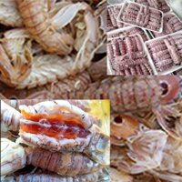 [HN]Bề Bề Trứng Nõn [ba6 pood]