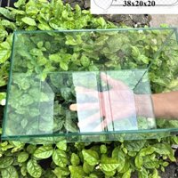 Hồ cá, bể cá mini thủy sinh D38 R20 C20 để bàn siêu xinh