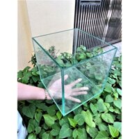 Hồ cá, bể cá thủy sinh mini để bàn siêu xinh 20x20x20  kính Việt Â dày 5ly