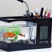 Hồ Cá Cảnh 💥Bể Cá Mini💥 Để Bàn Kiêm Đồng Hồ Siêu Đẹp (Tặng Kèm Đá Và Cây Cảnh)