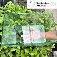 HỒ CÁ CẢNH mini dán dấu keo siêu đẹp D38-R20-C20