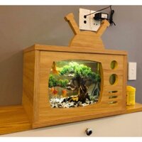 HỒ CÁ CHIẾC RADIO MINI