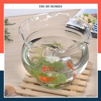Hồ cá để bàn 🐠FREE SHIP🐠 Bể cá Mini thủy sinh TAI BÈO