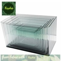 Hồ cá, Hồ Thủy sinh- Hồ Đúc Uốn Cong Cạnh - Kính Trong, siêu đẹp kích thước từ 30-50cm