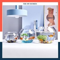 Hồ cá mini thủy sinh 🐠FREE SHIP🐠 Bể cá mini để bàn hình QUẢ CẦU
