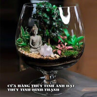 Hồ cá thủy tinh, hồ cá mini để bàn, chậu thủy tinh trồng cây thủy sinh LCĐ