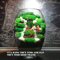 Hồ cá Thủy Tinh, hồ cá mini thủy tinh để bàn trang trí, chậu thủy tinh trồng cây thủy sinh D01, D02, D03