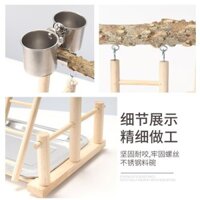 Hổ da hoa mẫu đơn cockatiel đứng khung vòng chân thang leo móng vuốt mài gỗ chắc chắn đứng dính hạt