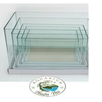 Hồ đúc uốn cạnh, bể thủy sinh, bể cá loại tốt