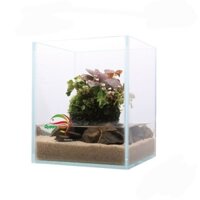 Hồ Kính Cubic Hình Vuông Dùng Để Nuôi Cá , Tiểu Cảnh , Hồ Thủy Sinh